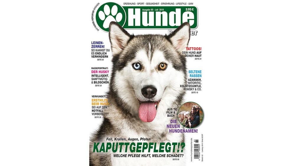 Hunde Reporter Ausgabe 85 Juli 19 Hundereporter