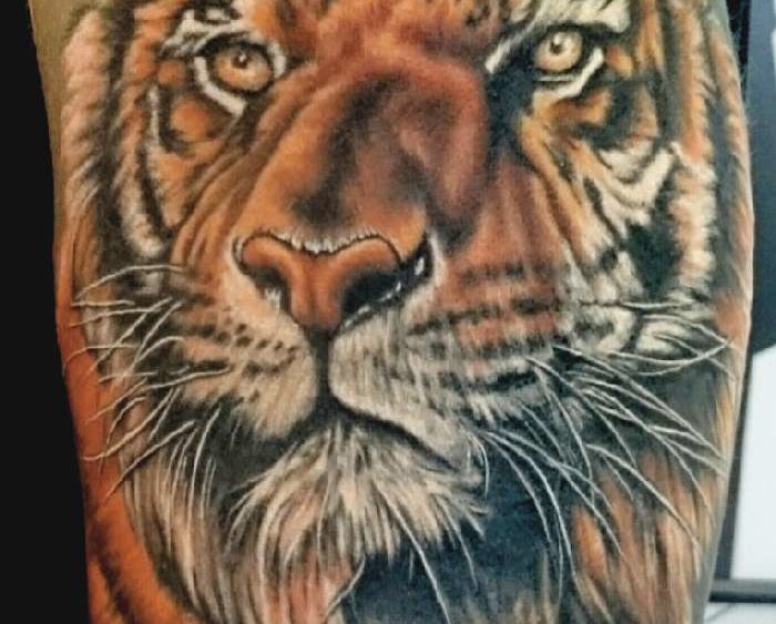 Tattoo, Idee, Raubkatze, Tiger, Realistic