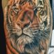 Tattoo, Idee, Raubkatze, Tiger, Realistic