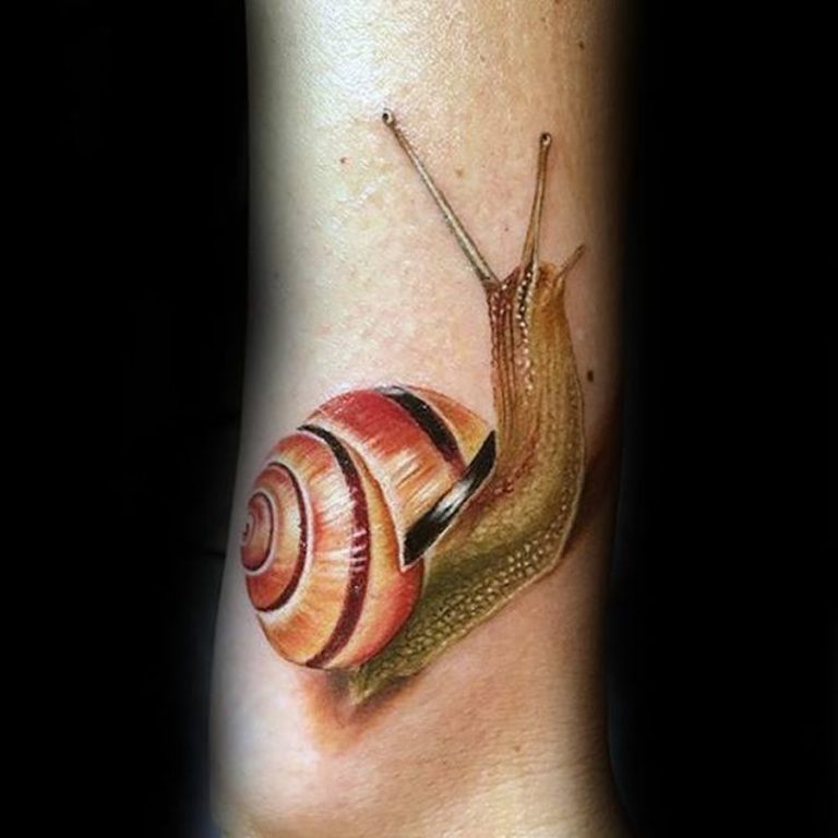 Schnecken Tattoos in der Galerie der Woche Tattoo Spirit