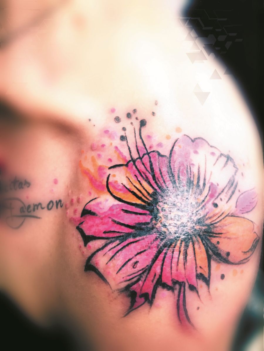 Stef Tattoo in Nürnberg Tattoo Spirit